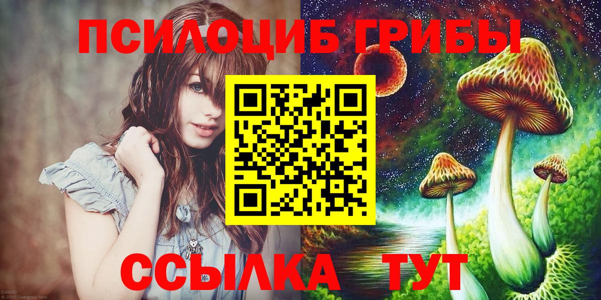 Галлюциногенные грибы мицелий Осинники