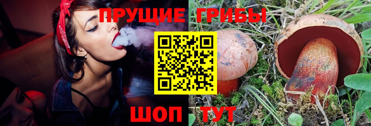 Галлюциногенные грибы MAGIC MUSHROOMS  Вход с VPN  Осинники 